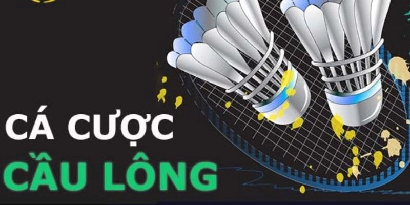 Cá cược thể thao tại V9BET